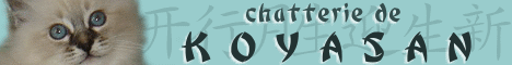 site de lise