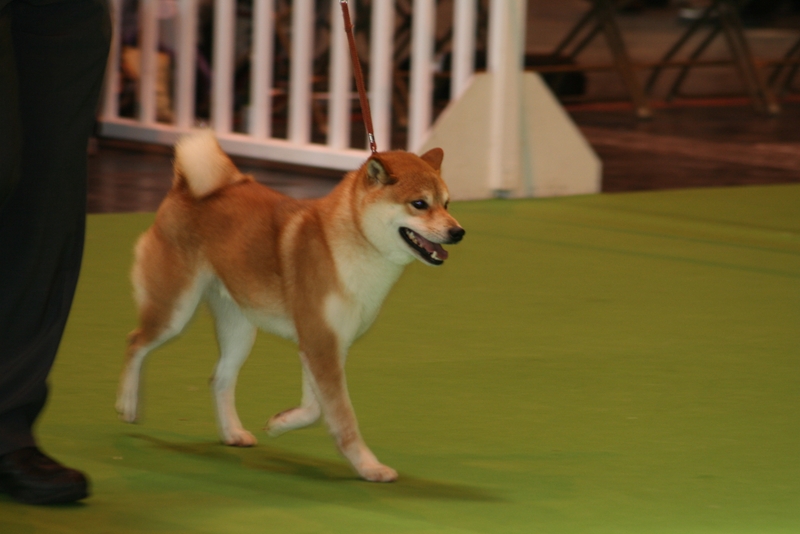 Image: aj-058-fd55d3.jpg