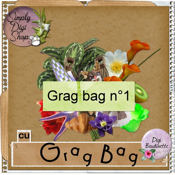 http://img48.xooimage.com/files/4/f/7/boudinette_gragbag1_cu-17b864f.jpg