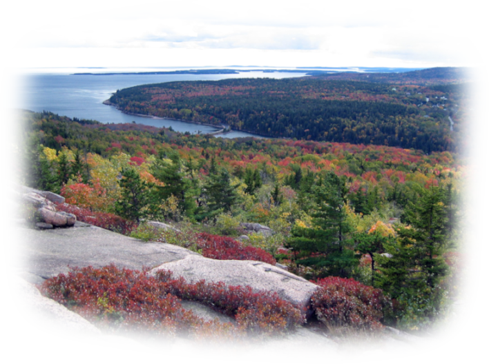 Image: graphicsbyliz_gor...ct2008-1--85d0b4.png