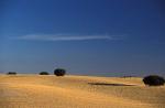 http://img48.xooimage.com/files/5/c/d/toledo_provincia8-1c5b58b.jpg