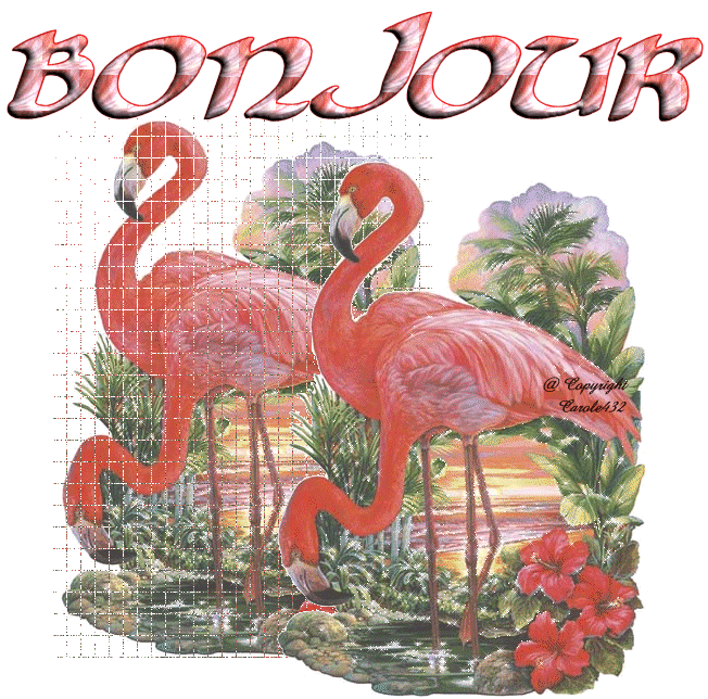 BONNE JOURNÉE DE LUNDI 091028022359322399-194d9ff