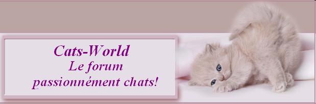 Cats-World Forum Index