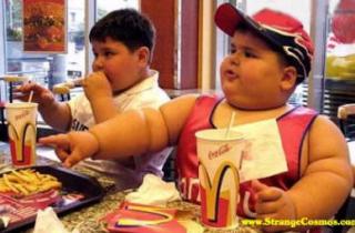 Image: mcdonalds-fat-6b9cec.jpg
