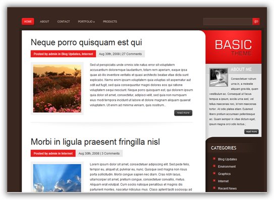 Basic - Premium WordPress Theme
