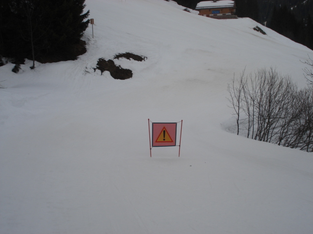 Chevreuil / Megève Jaillet Dsc03911-856457