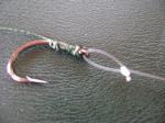 Questions sur bas de ligne en fluoro et raccords Dsc01484-f9a5e7