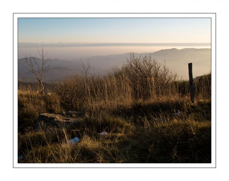 Image externe