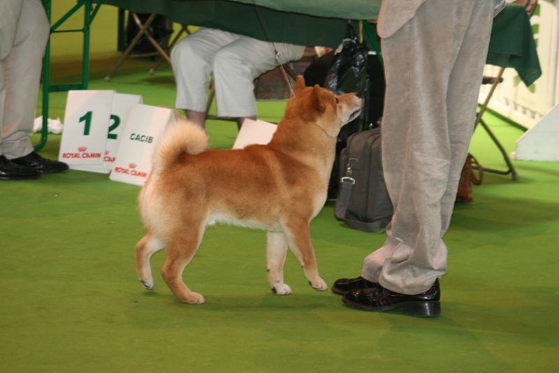 Image: aj-057-fd5595.jpg