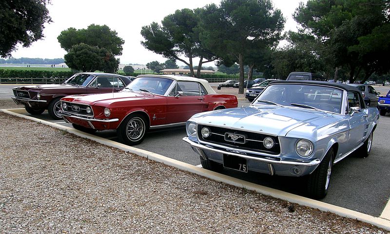 http://img48.xooimage.com/files/c/7/0/pb010010-p--14e7b59.jpg