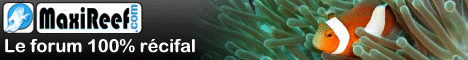 MaxiReef.com