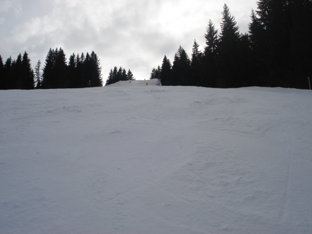Moineau / Megève Jaillet Dsc03897-8c9536