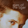 Mason • Jensenackles11zk0-e358fe