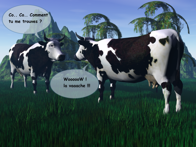 Image: vache-de-tchabada-68dadc.png