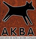 Forum  de AKBA