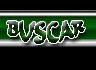 Buscar