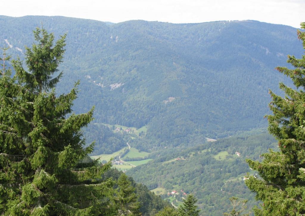 Les vosges Act 2 Sortie-road-s-ang...09-10009-204d91d