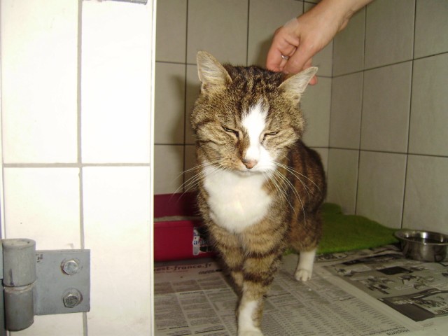 Image: p7150122-111d53c.jpg